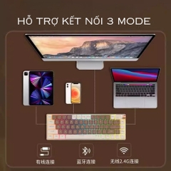 Bàn phím cơ không dây Royal Axe R87 - Hỗ trợ 3 mode kết nối - Led RGB nhiều chế độ - Hotswap 5pin