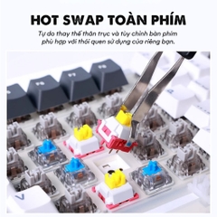 Bàn Phím Cơ Aula F87 | 3 Mode, Hotswap, RGB | Gasket Mount | MKShop