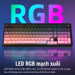Bàn Phím Cơ Xinmeng A98 - Hotswap, LED RGB, 3 Chế Độ Kết Nối | MKShop
