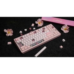 Bàn Phím Cơ PMO Aurora 80 TKL 87 Phím - Nhôm CNC, 3 Mode, Gasket Mount, RGB Aurora | MKShop