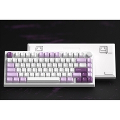 Bàn phím cơ FL GP75 3 Modes Mạch Xuôi Hotswap RGB Chính Hãng