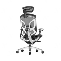 Ghế Công thái học GTChair Dvary Butterfly (Khung Đen, Lưới Đen/Khung Trắng, Lưới Xám)