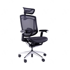 Ghế Công Thái Học Dvary Marrit X / Lưới - Đen / Tay 5D 2022