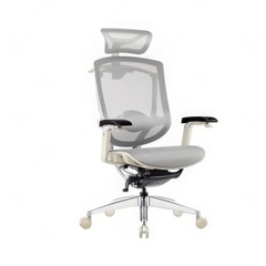 Ghế Công Thái Học Dvary Marrit X / Lưới - Đen / Tay 5D 2022