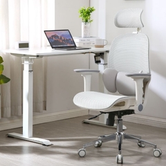 Ghế Công Thái Học Manson E3 Lite, Phiên Bản Lưới