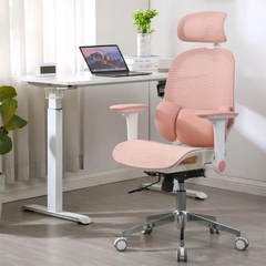 Ghế Công Thái Học Manson E3 Lite – Phiên Bản Đệm