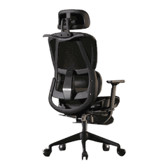 Ghế công thái học màu Đen LS-919G