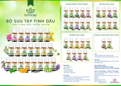 Tinh dầu GỪNG cao cấp EcoTherapy [Lọ 10ml] xông phòng, khử mùi, lọc không khí