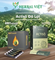 Ống uống Actiso ĐDV [Hộp 10 gói x 15ml]