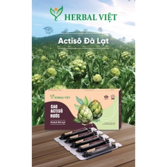 Cao Actiso nước HERBAL Việt [Hộp 10 ống x 10ml]