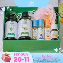 [SET QUÀ 20.11] COMBO HERBS FROM THE FOREST_QUÀ TẶNG TINH DẦU THIÊN NHIÊN
