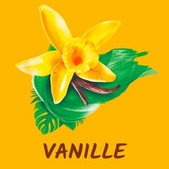 Sữa tắm tahiti hương vani