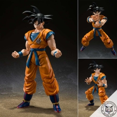 S.H.Figuarts: Songoku (Super Hero)