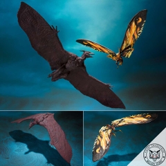 S.H.MonsterArts: Mothra and Rodan 2019 (King of the Monsters)