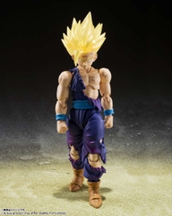 S.H.Figuarts: Songohan SSJ2 & Songoku SSJ (Exclusive ver.)