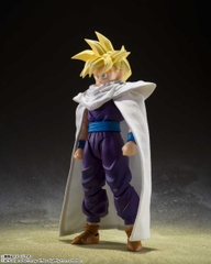 S.H.Figuarts: Songohan (The Fighter who surpassed Goku)