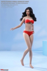 TBLeague: Super-Flexible Female Seamless 1/6 Scale (S48 and S49)