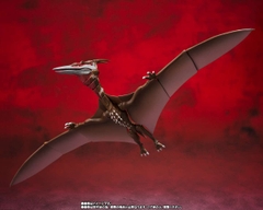 S.H.MonsterArts: Rodan 2021 2nd form