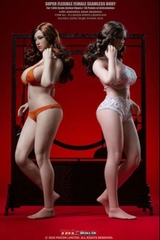 TBLeague: Super-Flexible Female Seamless 1/6 Scale (S38 and S39)