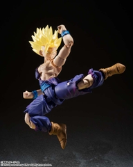 S.H.Figuarts: Songohan SSJ2 & Songoku SSJ (Exclusive ver.)