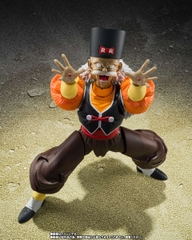S.H.Figuarts: Android 20
