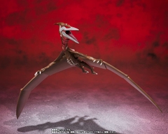 S.H.MonsterArts: Rodan 2021 2nd form