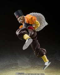 S.H.Figuarts: Android 20