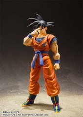 S.H.Figuarts: Songoku Earth (tái bản)
