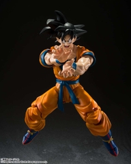 S.H.Figuarts: Songoku (Super Hero)