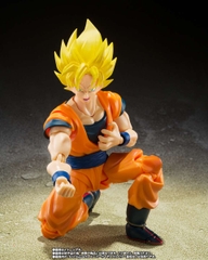S.H.Figuarts: Android 20