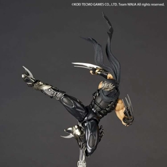 Amazing Yamaguchi: Ryu Hayabusa (Ninja Gaiden)