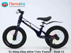 XE THĂNG BẰNG NHÔM CAO CẤP VICKY SPORT (CANBANG-VICKY)