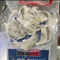 Tổ Yến thô góc lông vừa