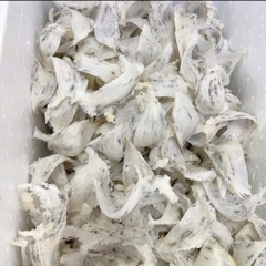 Tổ Yến thô loại 1