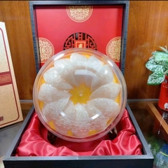Yến Tinh Chế Định Hình