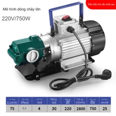 Đầu Bơm Dầu WCB Bánh Răng Giảm Tốc điện