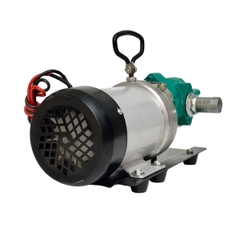 Máy bơm dầu bánh răng 24V WCB-75L + Lọc tái sử dụng