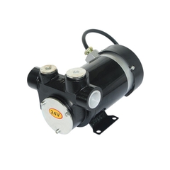 Máy bơm tiếp nhiên liệu di động chống cháy nổ 12V/24V