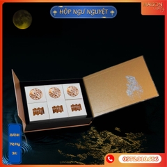 Hộp bánh trung thu Maison Ngư Nguyệt 1