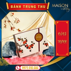 Bánh Trung Thu Mini Hồng Thanh 3