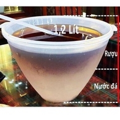 Bát đựng rượu, đồ uống ướp đá Việt Nhật kèm gáo múc- giá tốt nhất thị trường