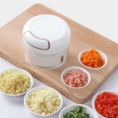 Máy xay tỏi ớt cầm tay mini tiện dụng