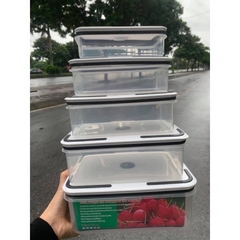 SET 5 hộp lạnh đựng thực phẩm chữ nhật loại 1 nắp cực chặt