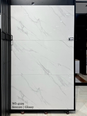 60x120 | GẠCH ẤN ĐỘ WI-4129