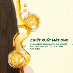 Bộ Đôi Gội Xả Mật Ong NARA 500ML Hỗ Trợ Mọc Tóc, Phục Hồi Hư Tổn Và Cải Thiện Tình Trạng Gàu Ngứa