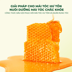 Bộ Đôi Dầu Gội NARA Mật Ong 500ML Kích Thích Mọc Tóc, Sạch Gàu, Nấm Ngứa, Loại Bỏ Dầu Thừa Và Phục Hồi Tóc Hư Tổn