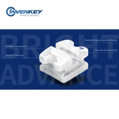 MẮC CÀI SỨ THƯỜNG - WBT KOREA