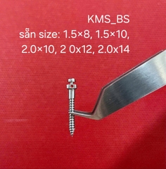 Vis KMS-BS_W&H Tech