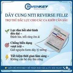 Dây cung Reverse - Feliz