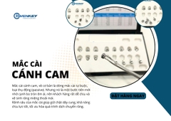 Mắc cài tự đóng cánh cam cải tiến Ludwig
